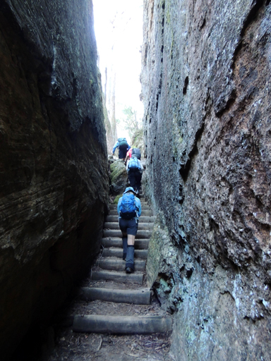  - Glowworm Tunnel Track